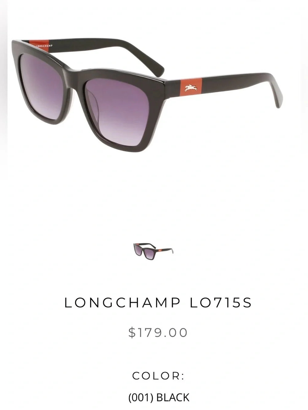 Longchamp excellent come